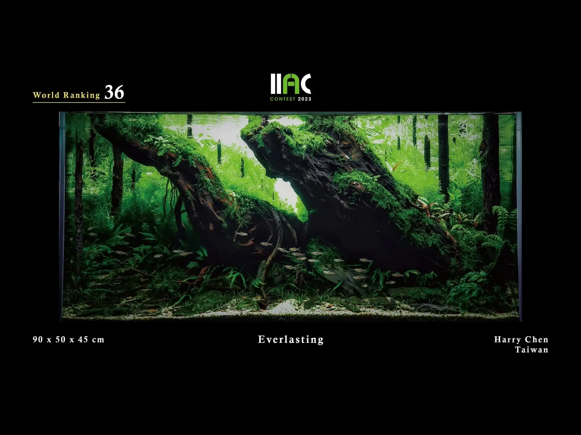 Everlasting - IIAC 2023 #36 Harry Chen / Taiwan